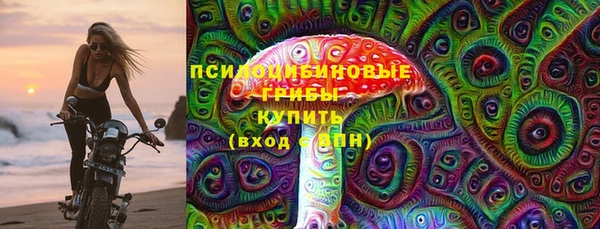 ECSTASY Покров
