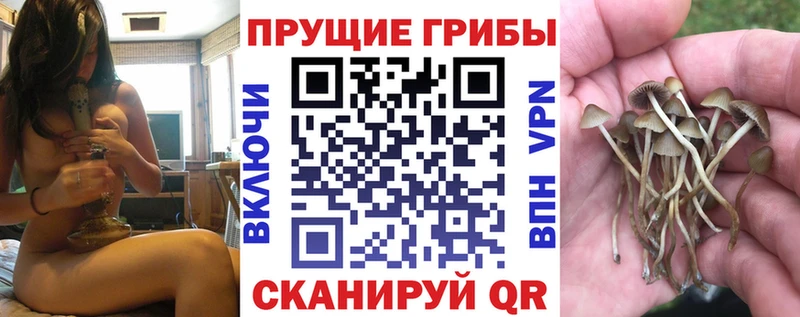 Псилоцибиновые грибы Psilocybine cubensis наркота Обнинск